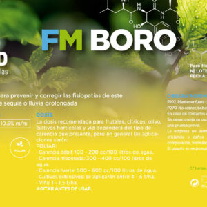 FM BORO