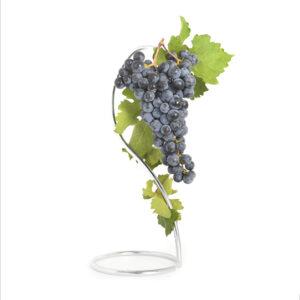 Injertos de uva tinta cabernet sauvignon