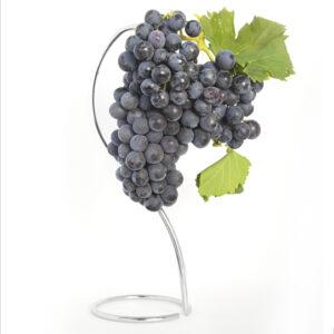 Injertos de uva tinta garnacha tinta