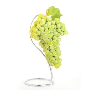 Injertos de uva blanca parellada